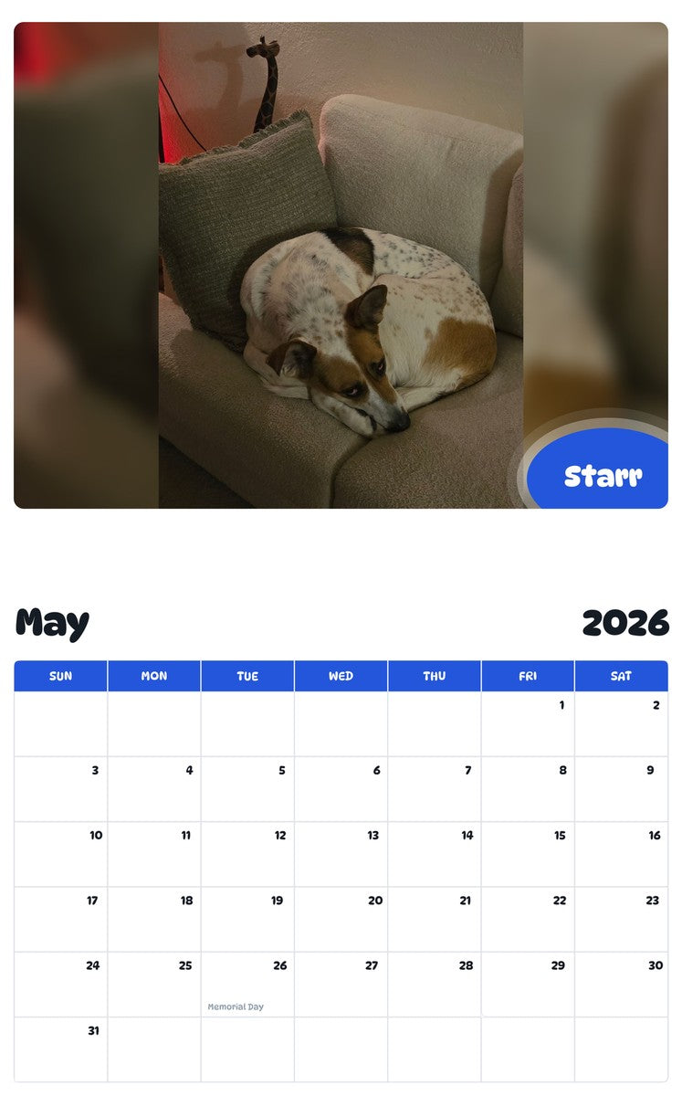 2026 - 2027 Starr - Pawidols Pet Calendar
