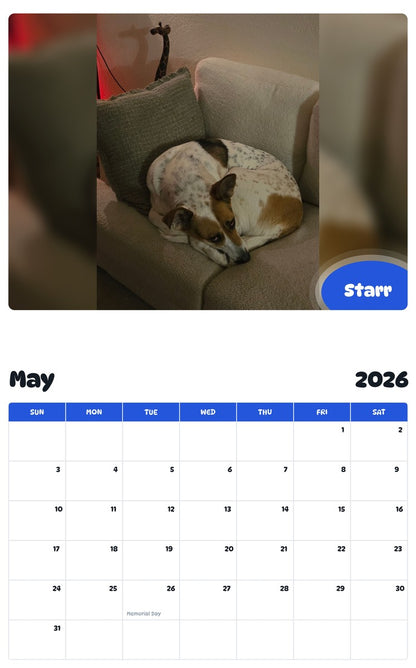 2026 - 2027 Starr - Pawidols Pet Calendar