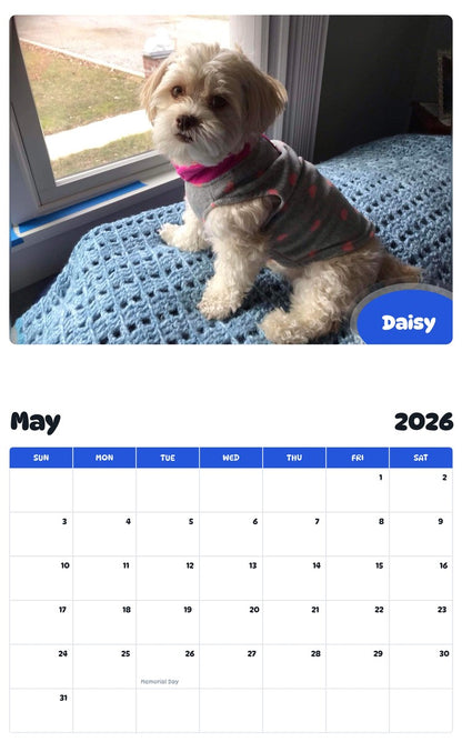 2026 - 2027 Daisy - Pawidols Pet Calendar