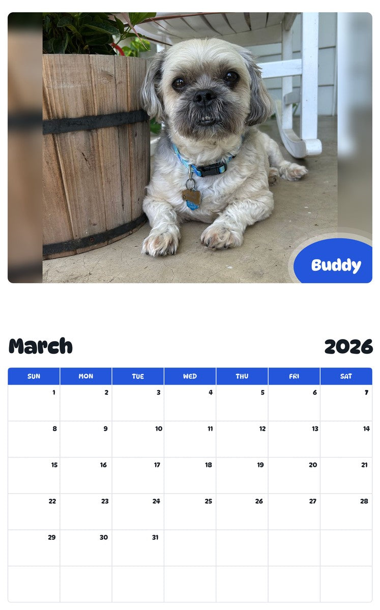 November 2025 - October 2026 Buddy - Pawidols Pet Calendar