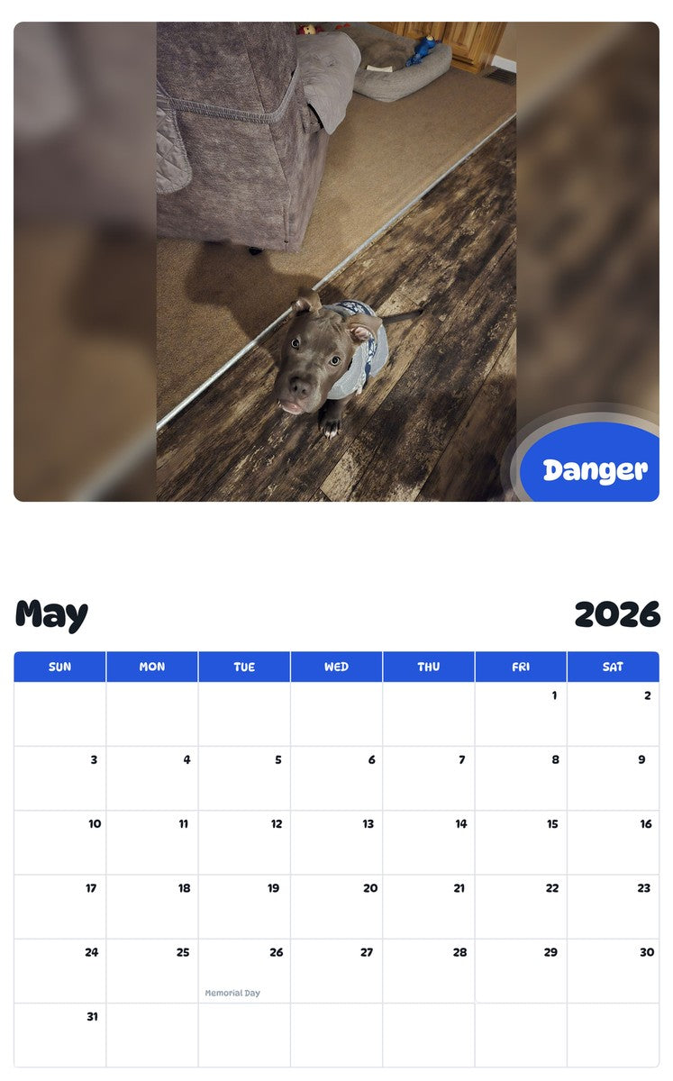 2026 - 2027 Danger - Pawidols Pet Calendar