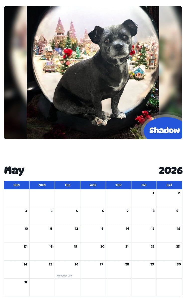 2026 - 2027 Shadow - Pawidols Pet Calendar