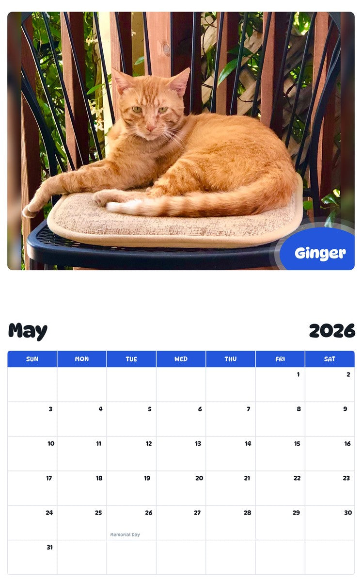 2026 - 2027 Ginger - Pawidols Pet Calendar