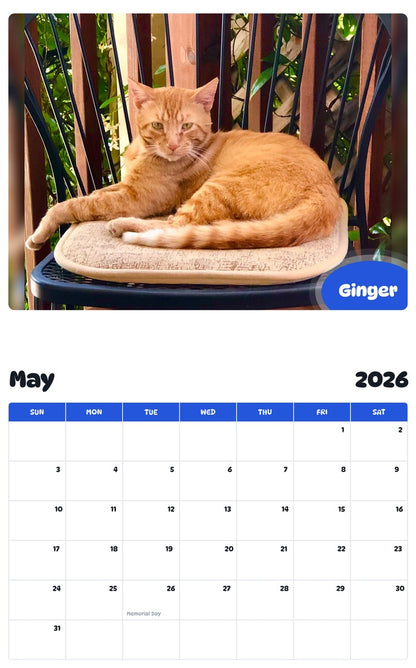 2026 - 2027 Ginger - Pawidols Pet Calendar