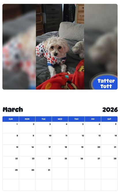 November 2025 - October 2026 Tatter Tott - Pawidols Pet Calendar