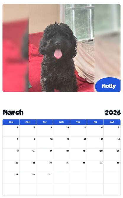 November 2025 - October 2026 Molly - Pawidols Pet Calendar