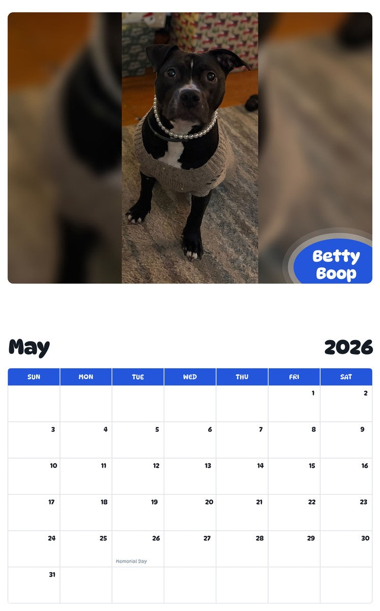 2026 - 2027 Betty Boop - Pawidols Pet Calendar
