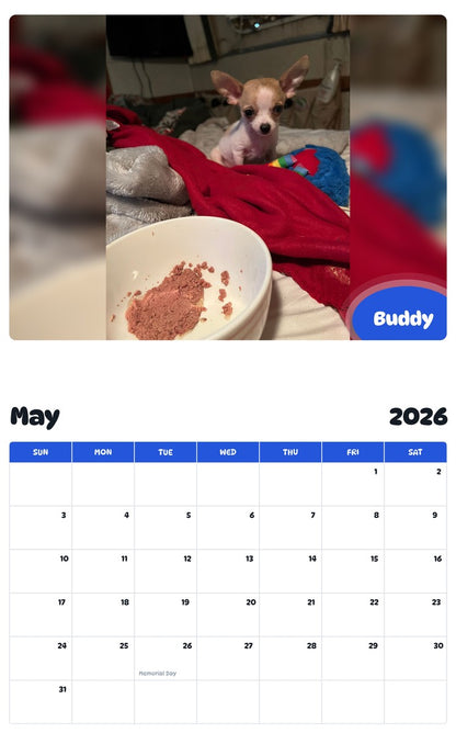 2026 - 2027 Buddy - Pawidols Pet Calendar