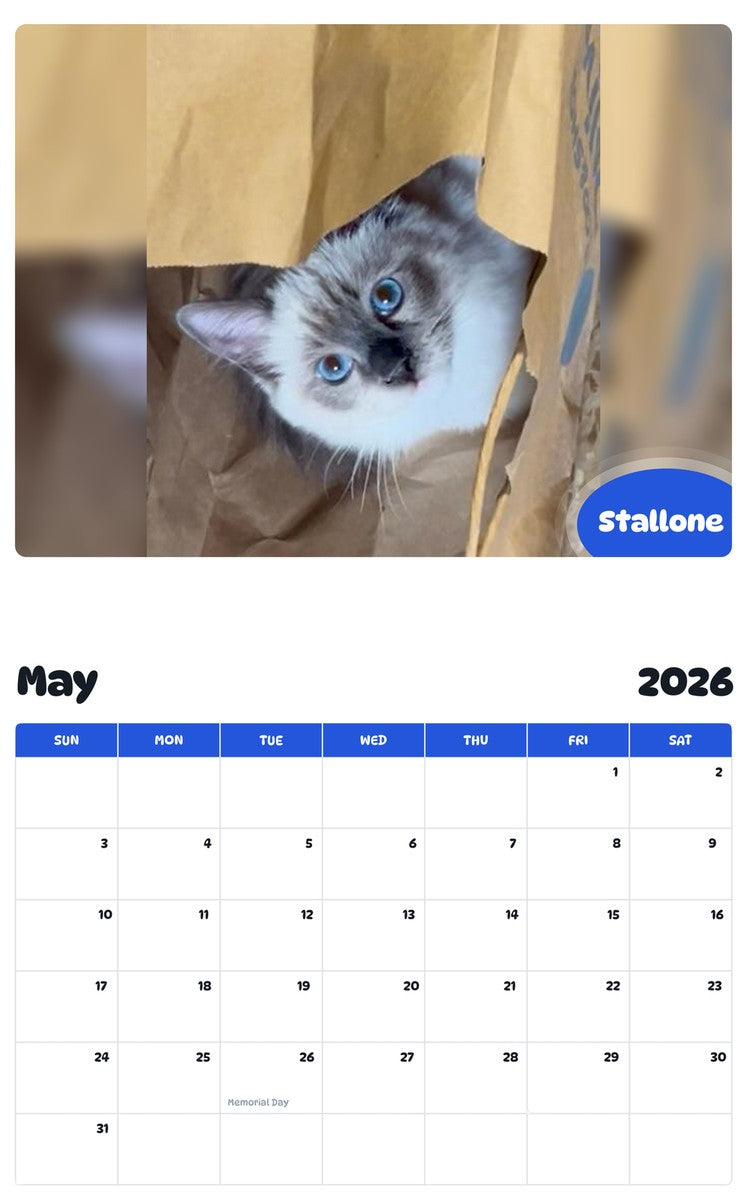 2026 - 2027 Stallone - Pawidols Pet Calendar