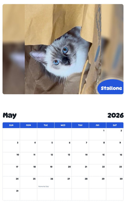2026 - 2027 Stallone - Pawidols Pet Calendar