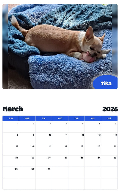 November 2025 - October 2026 Tika - Pawidols Pet Calendar