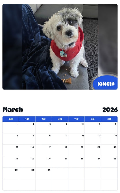 November 2025 - October 2026 KIMCHI - Pawidols Pet Calendar