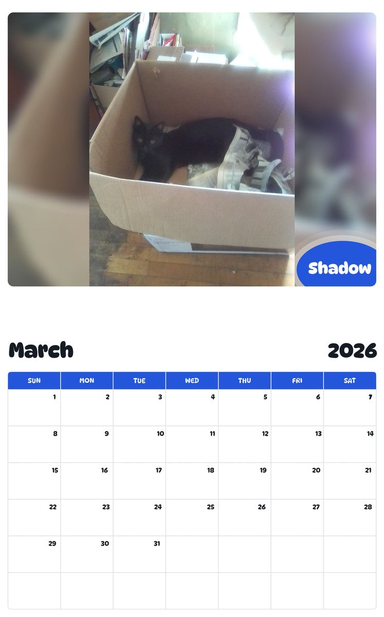 November 2025 - October 2026 Shadow - Pawidols Pet Calendar