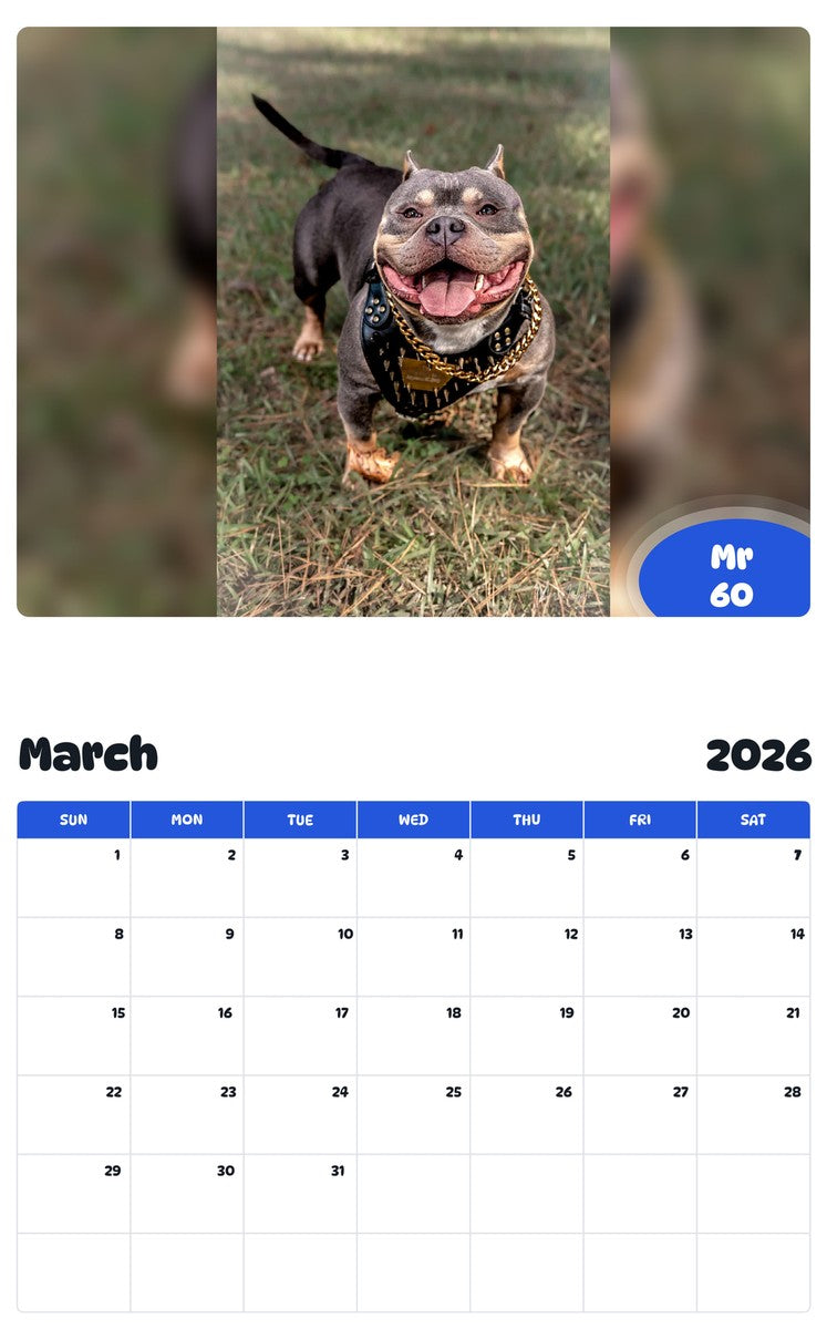 November 2025 - October 2026 Mr 60 - Pawidols Pet Calendar