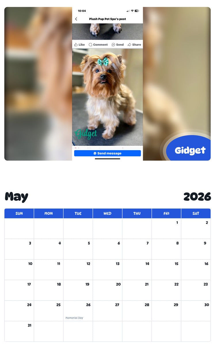 2026 - 2027 Gidget - Pawidols Pet Calendar