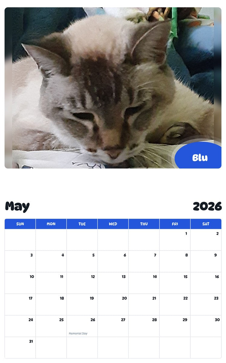 2026 - 2027 Blu - Pawidols Pet Calendar