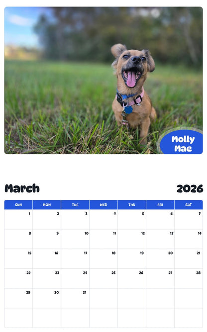 November 2025 - October 2026 Molly Mae - Pawidols Pet Calendar