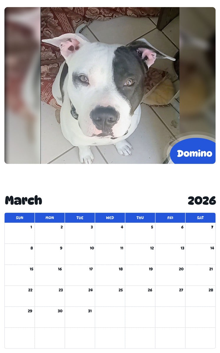 November 2025 - October 2026 Domino - Pawidols Pet Calendar