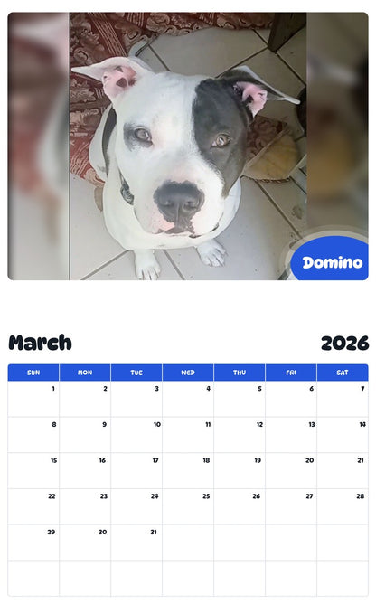 November 2025 - October 2026 Domino - Pawidols Pet Calendar
