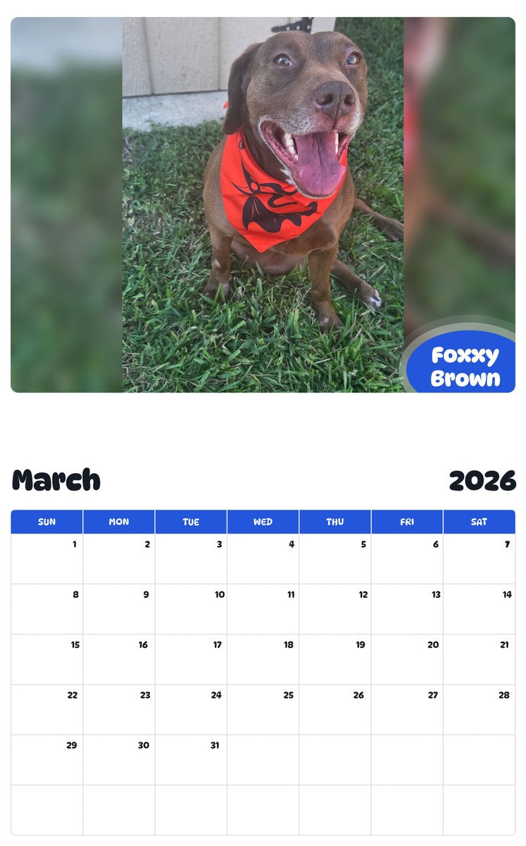 November 2025 - October 2026 Foxxy Brown - Pawidols Pet Calendar