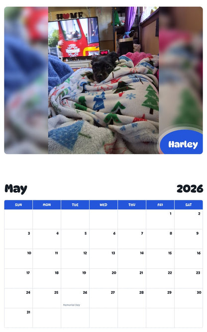 2026 - 2027 Harley - Pawidols Pet Calendar