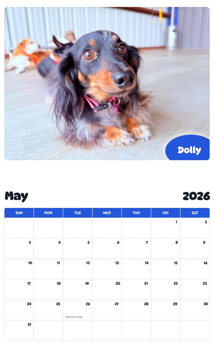 2026 - 2027 Dolly - Pawidols Pet Calendar