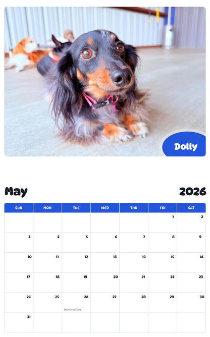 2026 - 2027 Dolly - Pawidols Pet Calendar