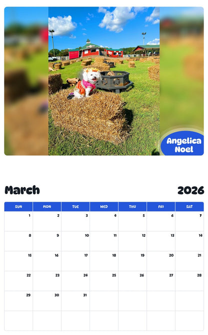 November 2025 - October 2026 Angelica Noel - Pawidols Pet Calendar
