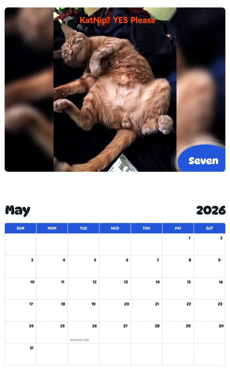 2026 - 2027 Seven - Pawidols Pet Calendar