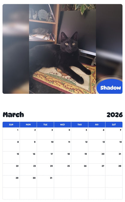 November 2025 - October 2026 Shadow - Pawidols Pet Calendar