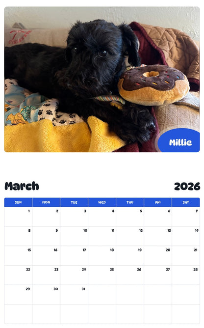 November 2025 - October 2026 Millie - Pawidols Pet Calendar
