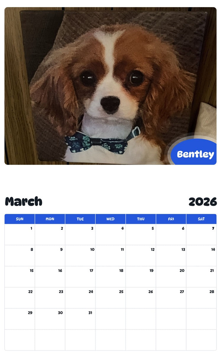 November 2025 - October 2026 Bentley - Pawidols Pet Calendar