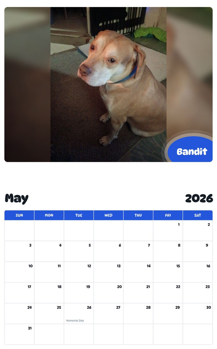 2026 - 2027 Bandit - Pawidols Pet Calendar
