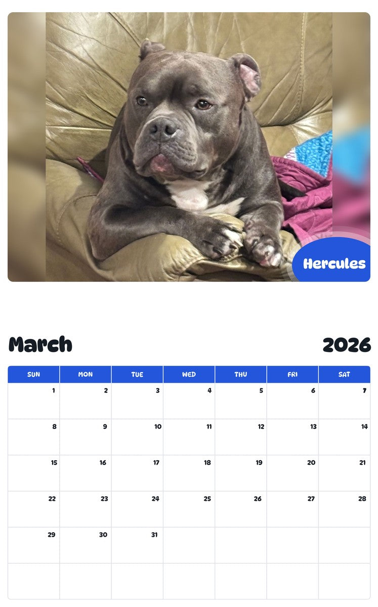 November 2025 - October 2026 Hercules - Pawidols Pet Calendar