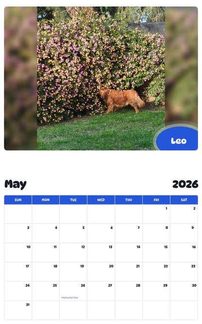 2026 - 2027 Leo - Pawidols Pet Calendar
