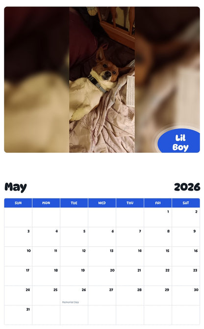 2026 - 2027 Lil Boy - Pawidols Pet Calendar