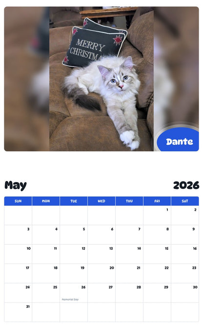 2026 - 2027 Dante - Pawidols Pet Calendar