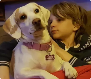 Honey's Emergency Surgery