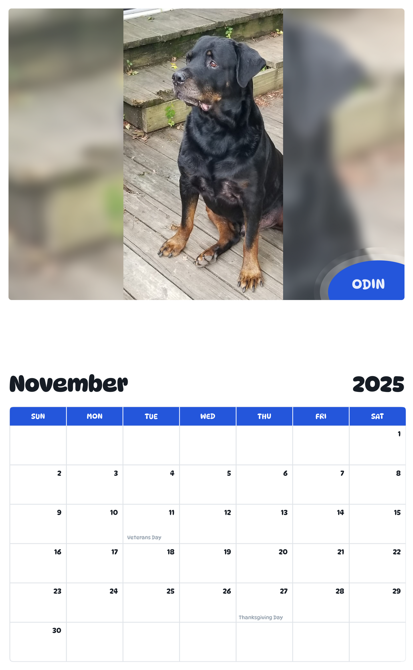 July 2025 - June 2026 Odin - Pawidols Pet Calendar