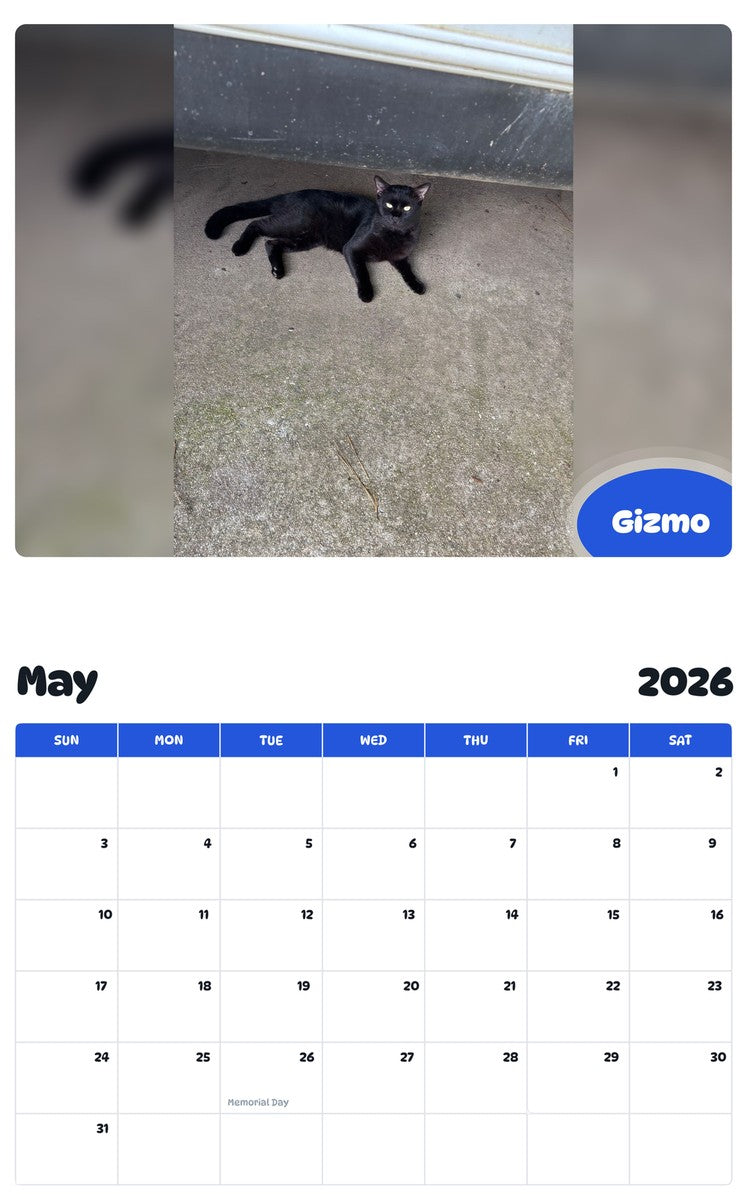 2026 - 2027 Gizmo - Pawidols Pet Calendar