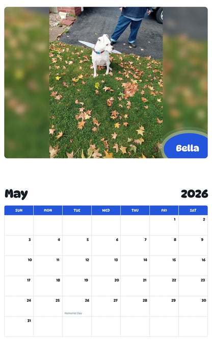 2026 - 2027 Bella - Pawidols Pet Calendar