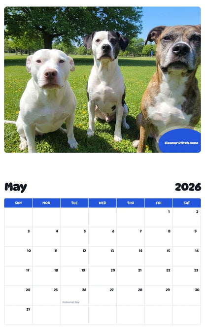 2026 - 2027 Eleanor Stitch Xena - Pawidols Pet Calendar