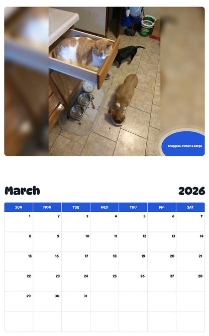 November 2025 - October 2026 Snuggles, Tinker & Sarge - Pawidols Pet Calendar
