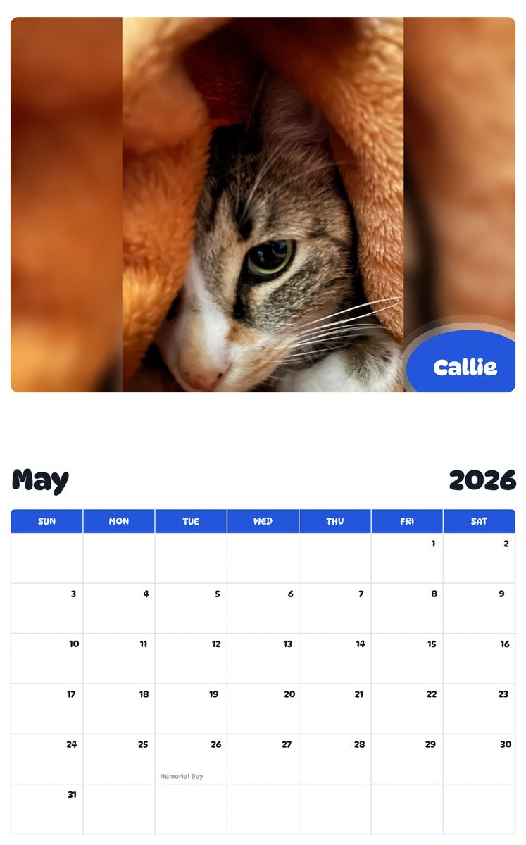 2026 - 2027 Callie - Pawidols Pet Calendar