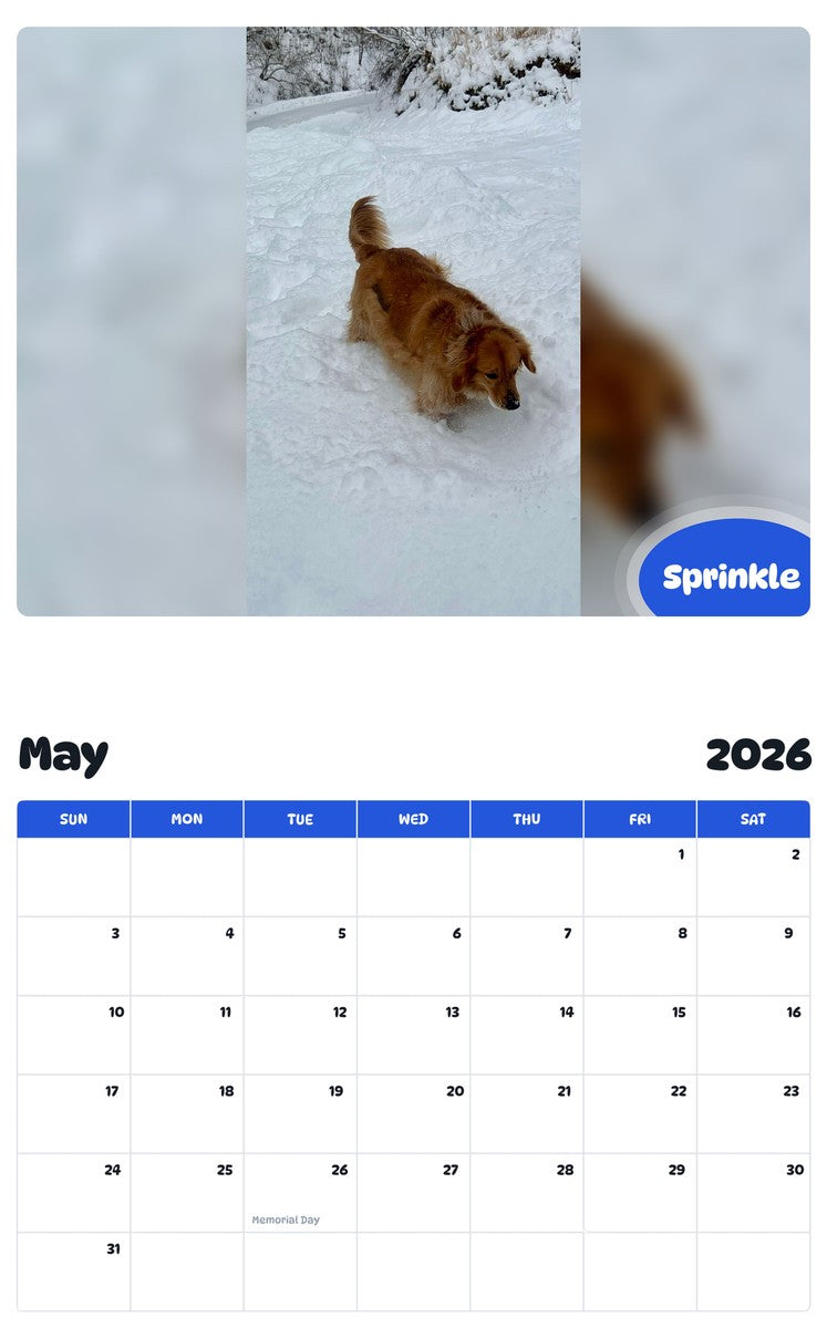 2026 - 2027 Sprinkle - Pawidols Pet Calendar