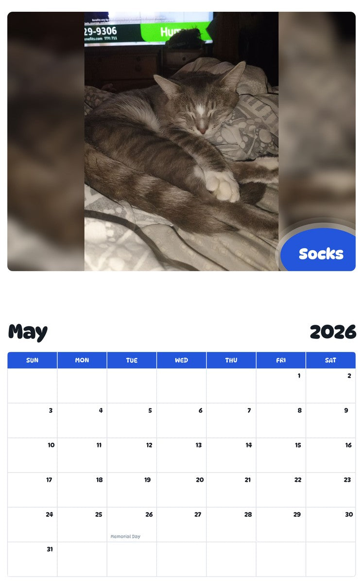 2026 - 2027 Socks - Pawidols Pet Calendar