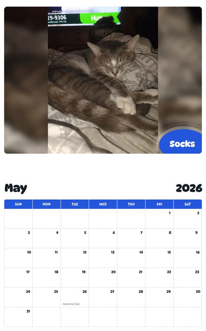 2026 - 2027 Socks - Pawidols Pet Calendar