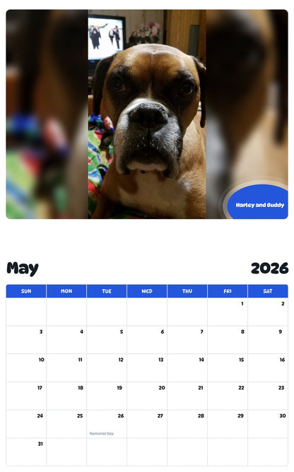 2026 - 2027 Harley and Buddy - Pawidols Pet Calendar