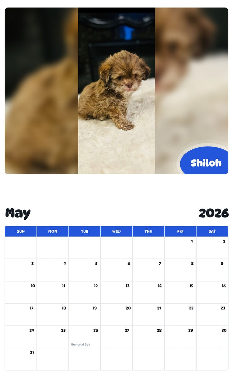 2026 - 2027 Shiloh - Pawidols Pet Calendar