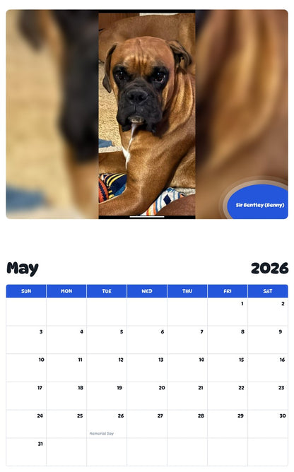 2026 - 2027 Sir Bentley (Benny) - Pawidols Pet Calendar